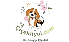 Çiçekliyol - Güvenli Alışveriş - Online Çiçek Siparişi - Çiçek Sepeti-Nöbetçi Çiçekci