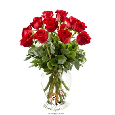  Vazoda 12 Kırmızı Gül