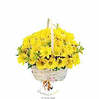 Sarı Krızantem Sepeti 