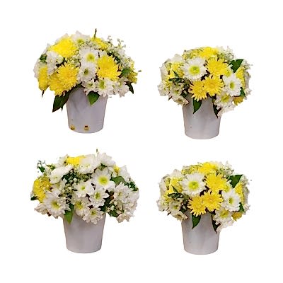 Vazoda Papatya Aranjman 