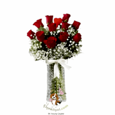 Kırmızı Gül Vazosu 