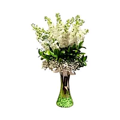 vazoda kokulu şebboy