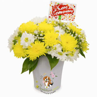 Vazoda Sarı Beyaz Papatya 