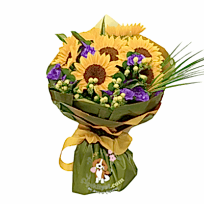 Günebakan Çiçeği