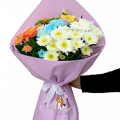 Karışık papatya 5 