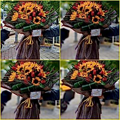 Maravilla Del Diseno