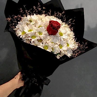 Papatya ve tek gül buketi 