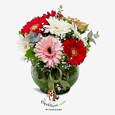 Rengarenk Gerbera Aranjmanı