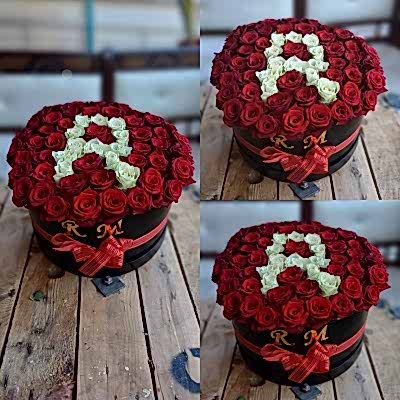 Oval Kutuda Kız İsteme Çiçeği