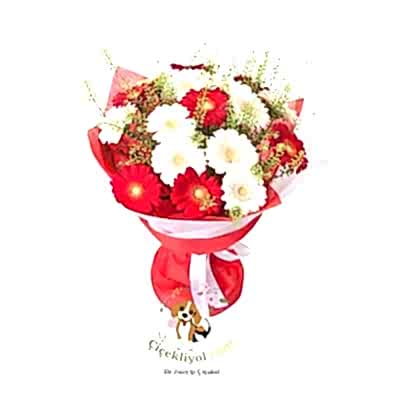 Kırmızı Beyaz Gerbera Buketi